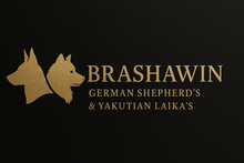 brashawin.com.au
